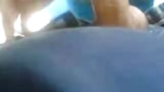 ქერათმიანი მილფი ეშლ ...