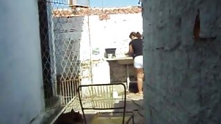 შავგვრემანი შამალის  ...